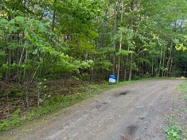 55 Cherrie Pierson Rd photo 2