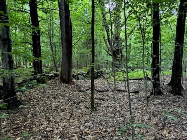 55 Cherrie Pierson Rd photo 3