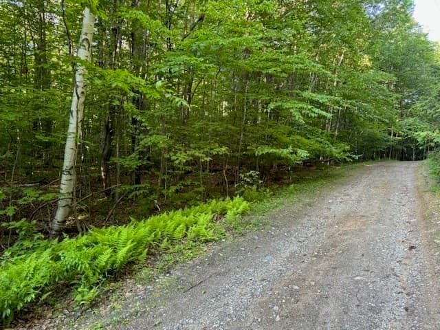 55 Cherrie Pierson Rd