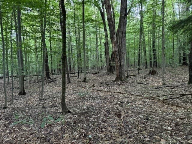55 Cherrie Pierson Rd photo 4