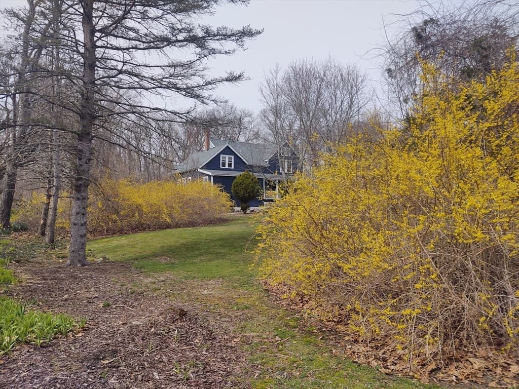 40 Hillside Ave photo 5