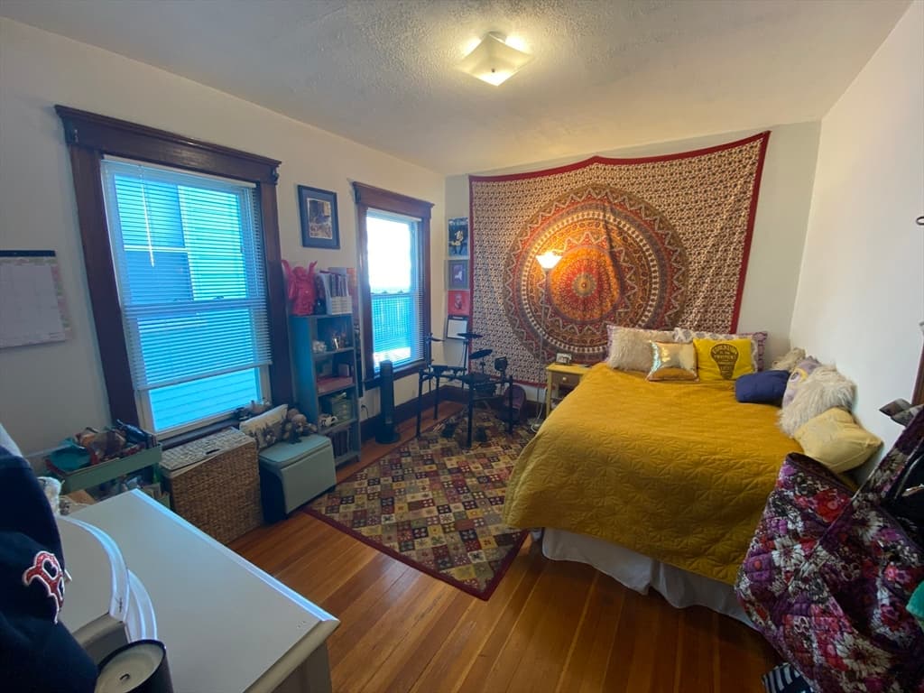 223 Holland St #2 photo 4
