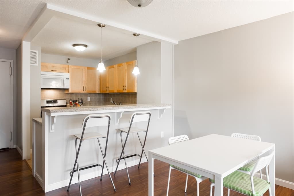 151 Tremont St #11U photo 5