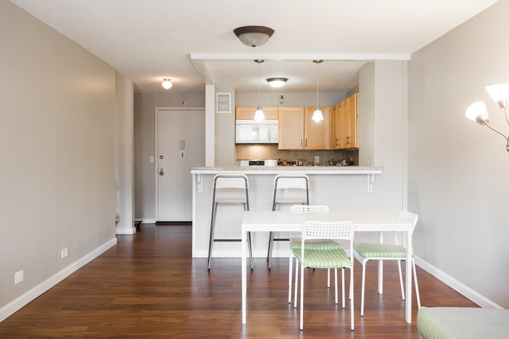 151 Tremont St #11U photo 4