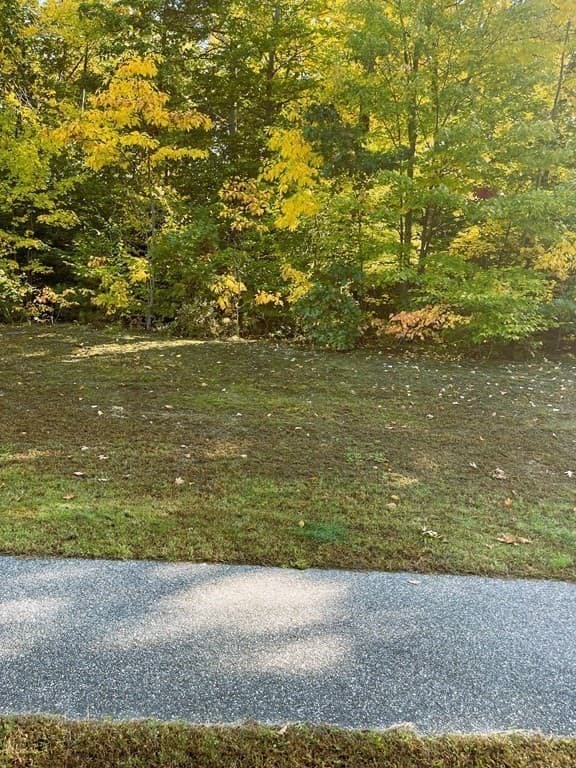 LOT 57 Concord Way photo 3