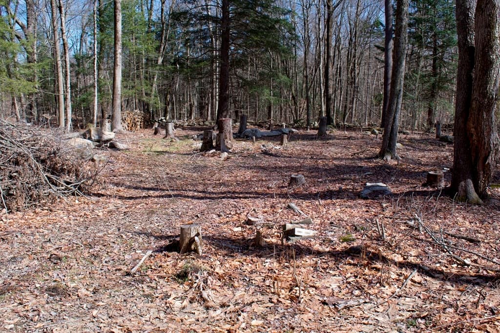 38 Paw Ln photo 2