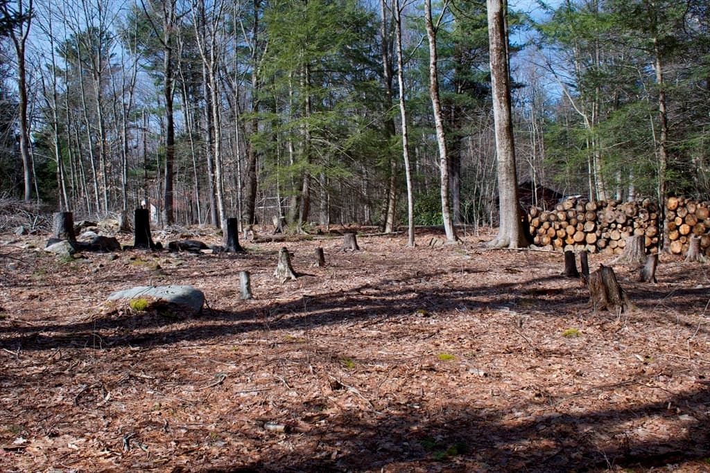 38 Paw Ln photo 3