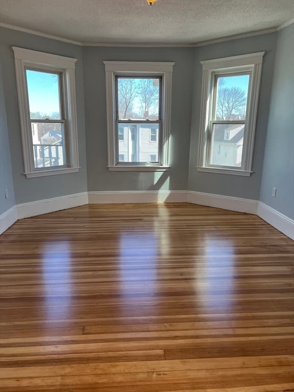 563 Hyde Park Avenue #3 photo 2