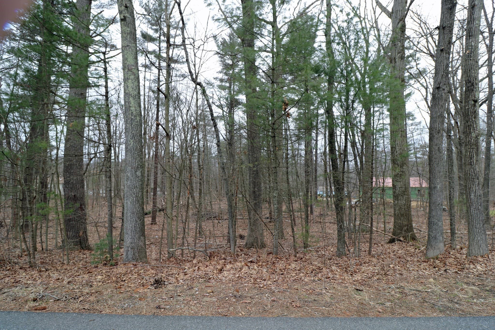 0 Oakwood Rd photo 5