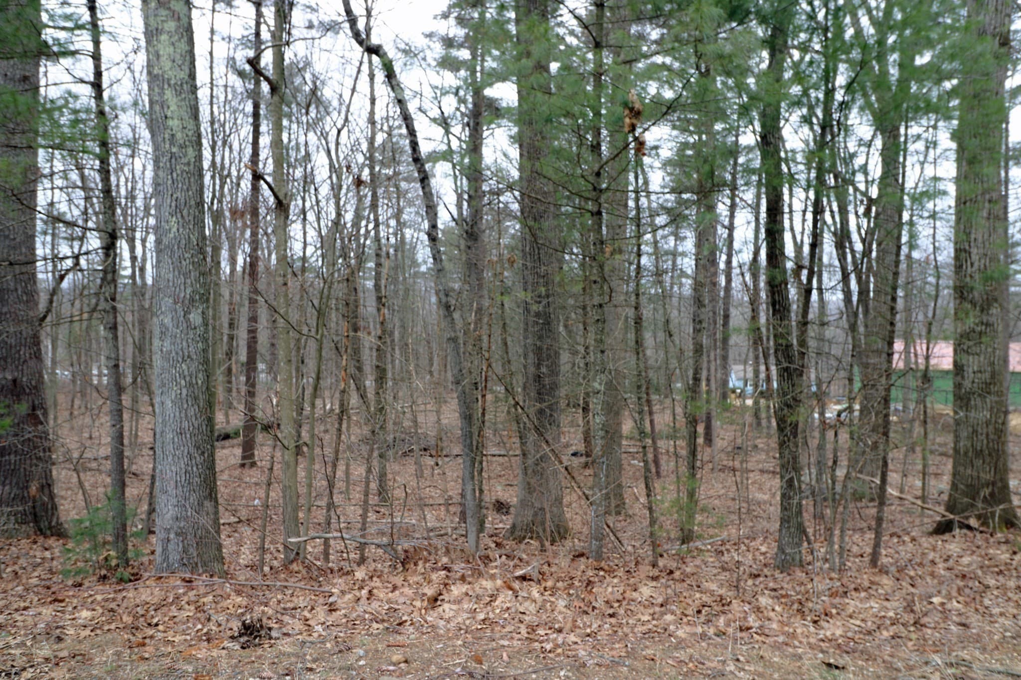 0 Oakwood Rd photo 4