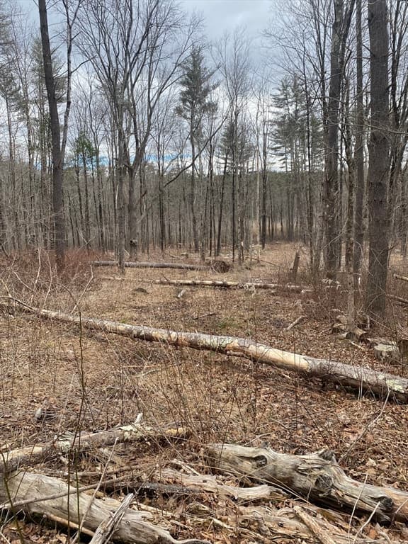 Lot 80.1 Brentwood Rd photo 2