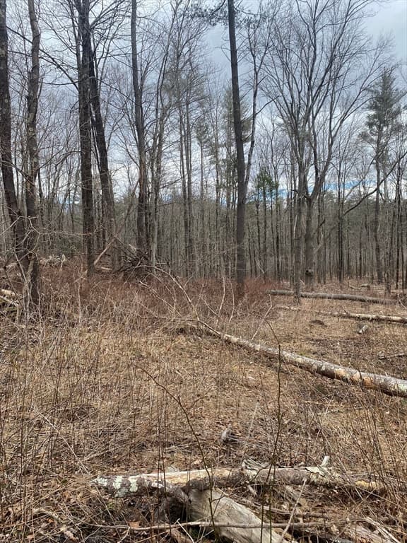 Lot 80.1 Brentwood Rd photo 3