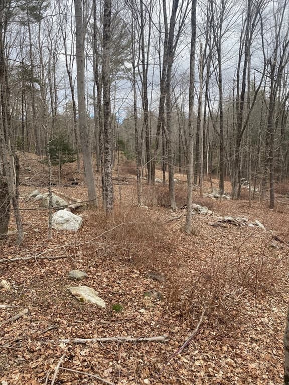 Lot 80.1 Brentwood Rd photo 4