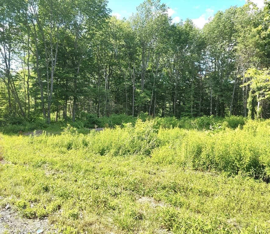 0 State Rd photo 3