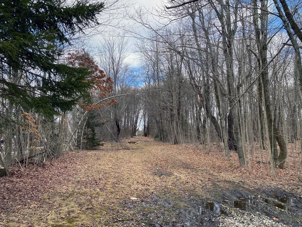 95 Maple Ave photo 2