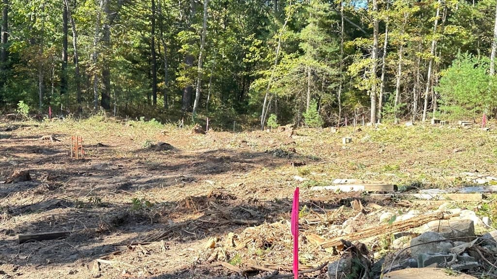 221 Beaver Dam Rd photo 5