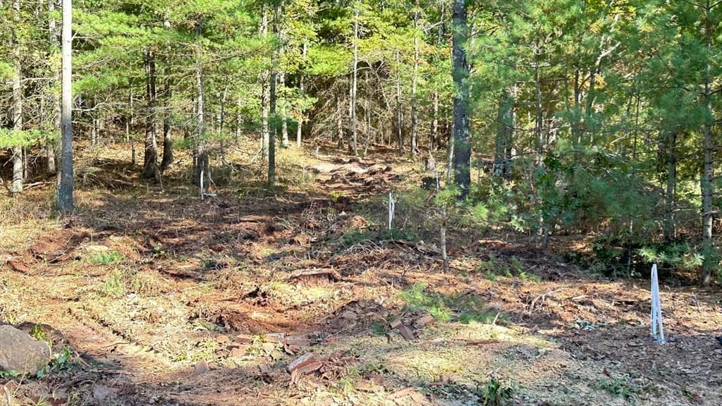 221 Beaver Dam Rd photo 4