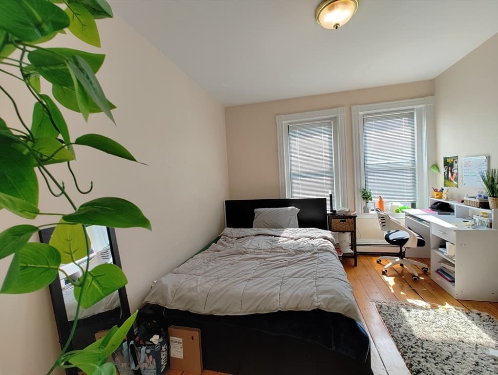 313 Cambridge St #1 photo 5