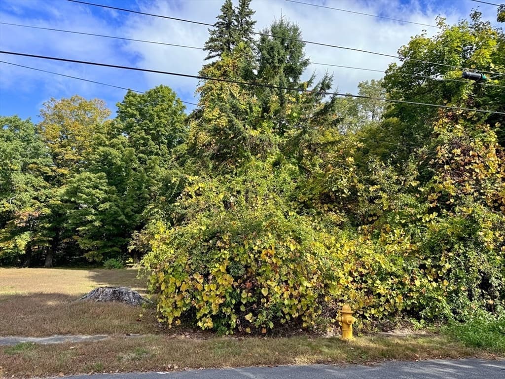 171 Cleveland Street photo 2