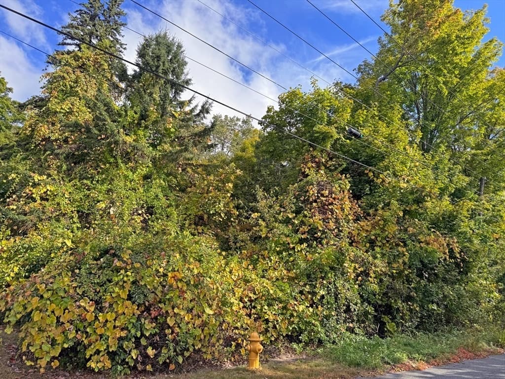 171 Cleveland Street photo 3
