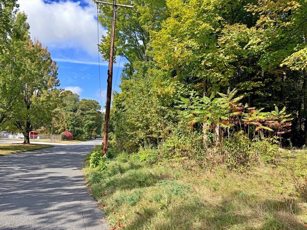 171 Cleveland Street photo 5