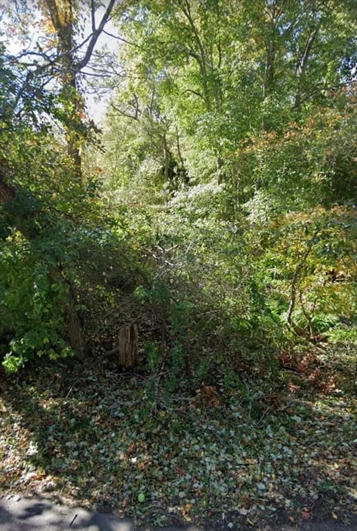 0 Lake Rd photo 3