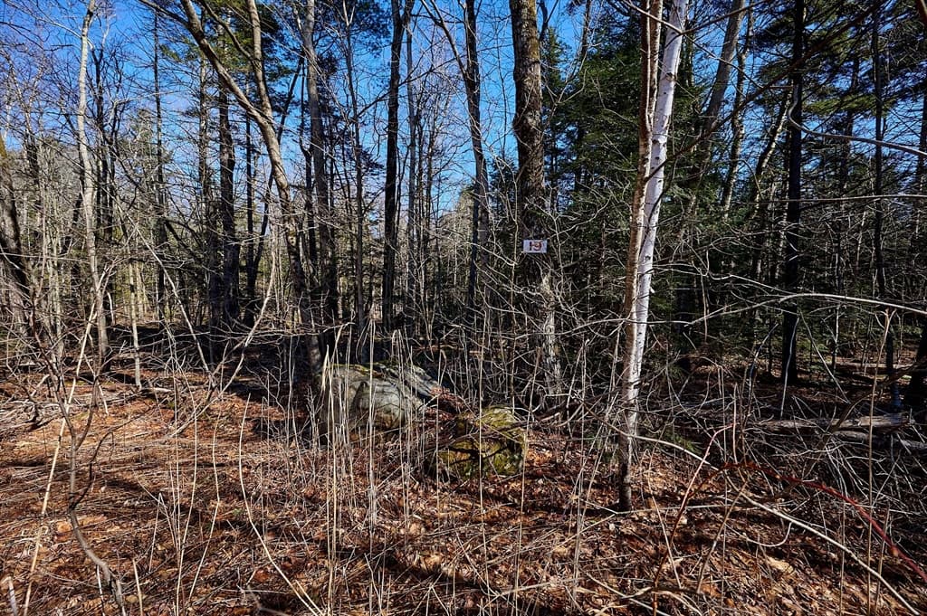 Lot 19 Jacobs Hollow Rd photo 5