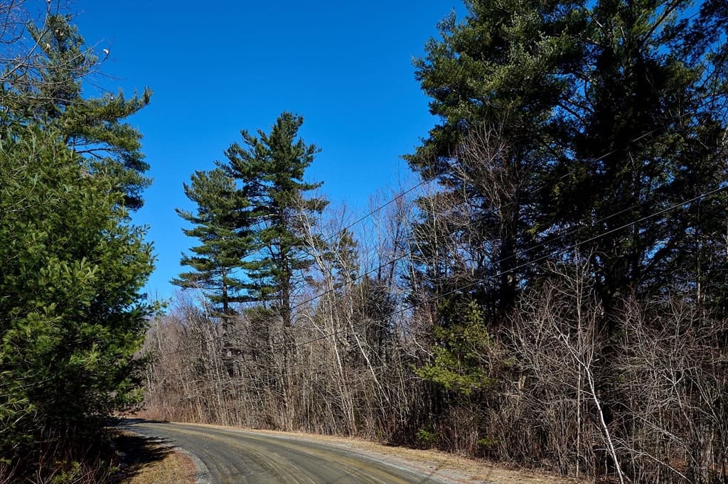 Lot 19 Jacobs Hollow Rd photo 4