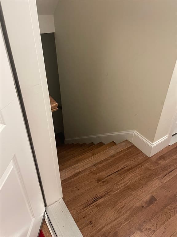 7 Wendell Place #3 photo 2