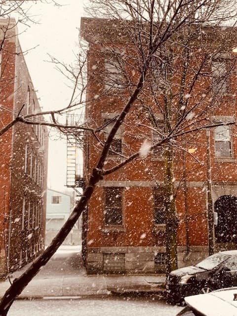 68 Frankfort St