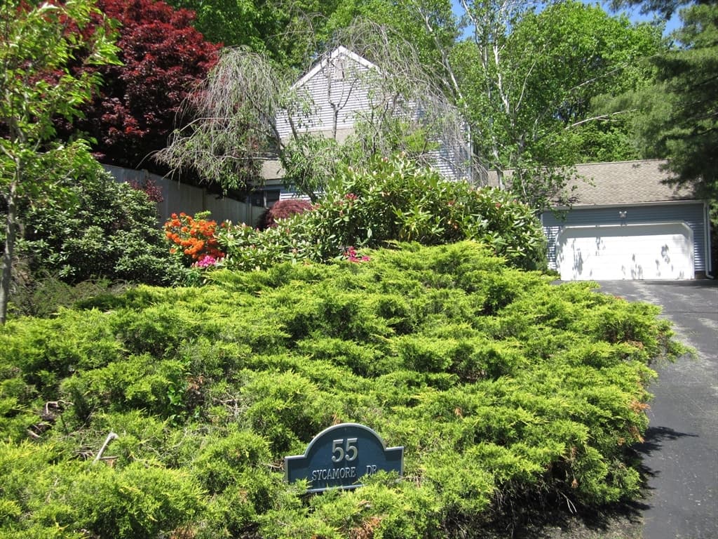 55 Sycamore Dr photo 2