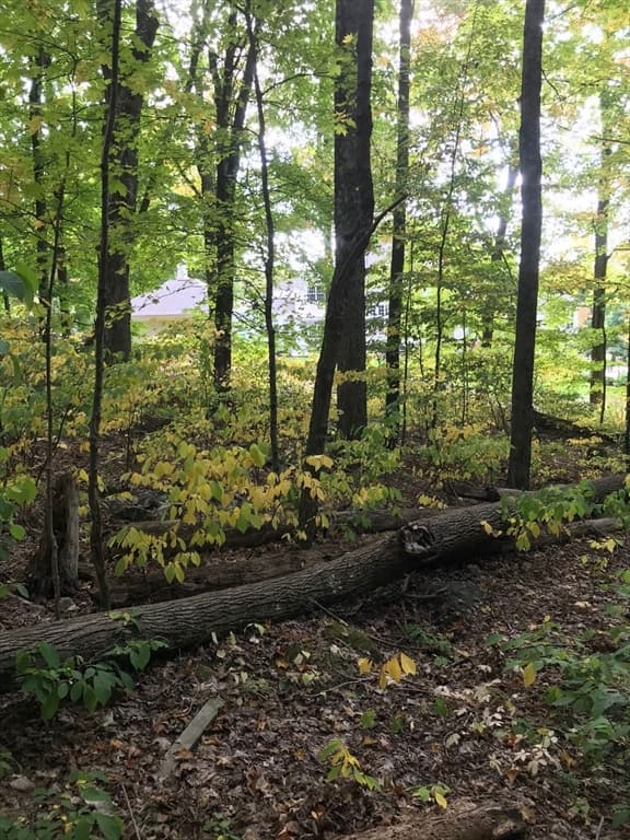 lot 2 Hilltop Park