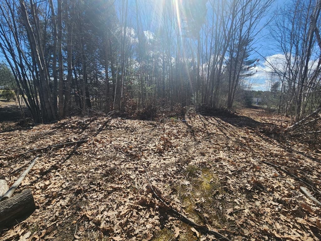Lot 8 Miles Rd photo 4