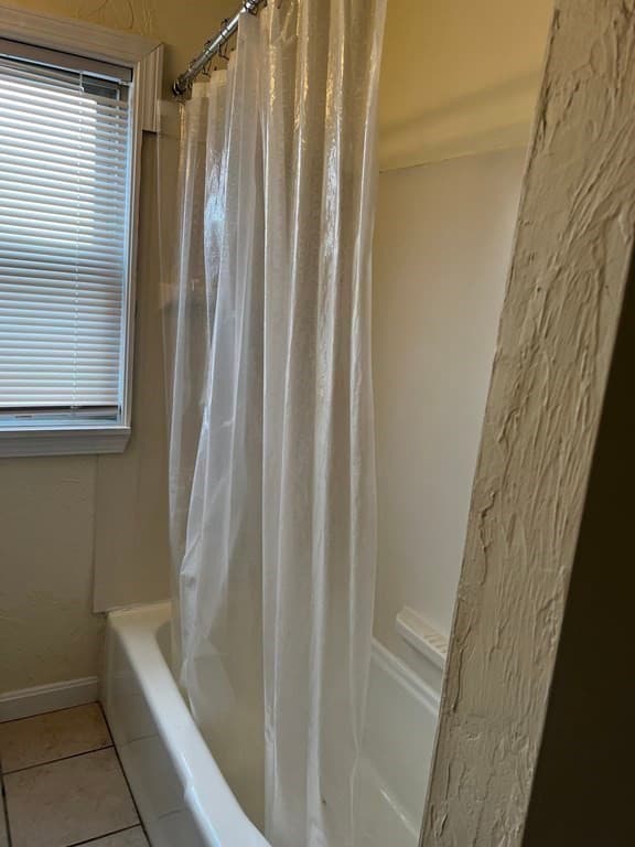 119 Myrtle Street #4 photo 5