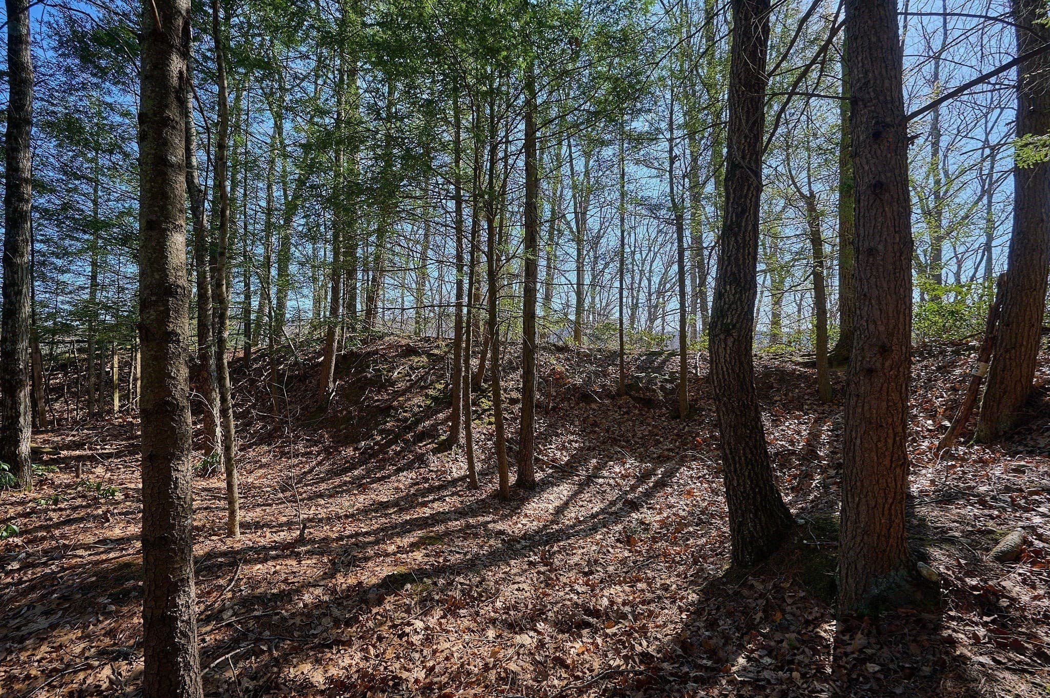 0 Pine Hill photo 2