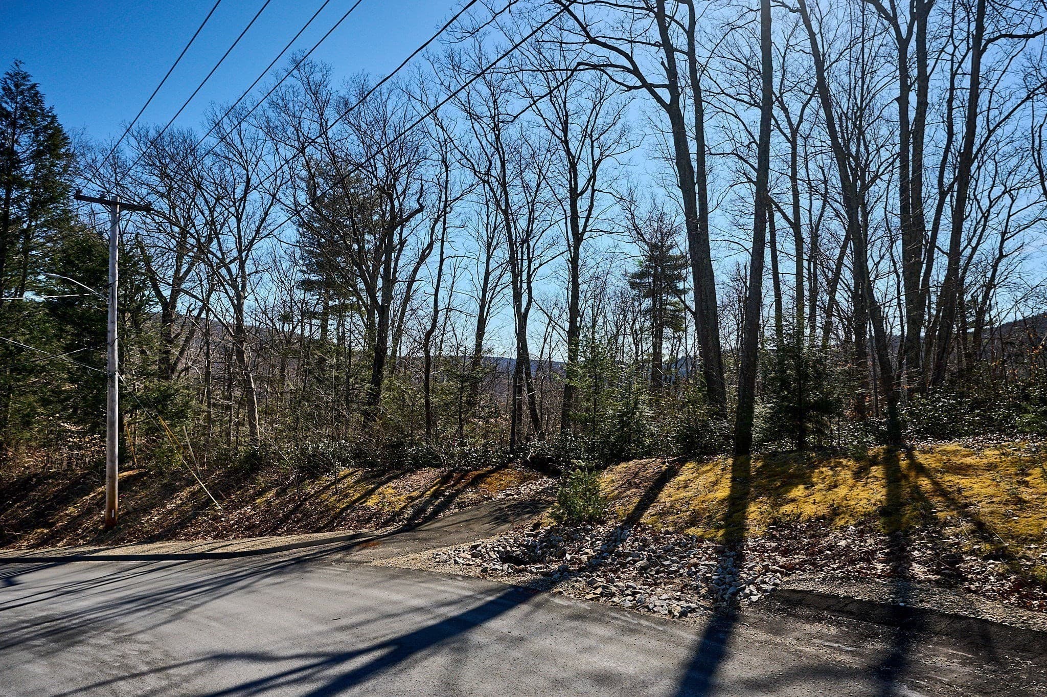 0 Pine Hill photo 3