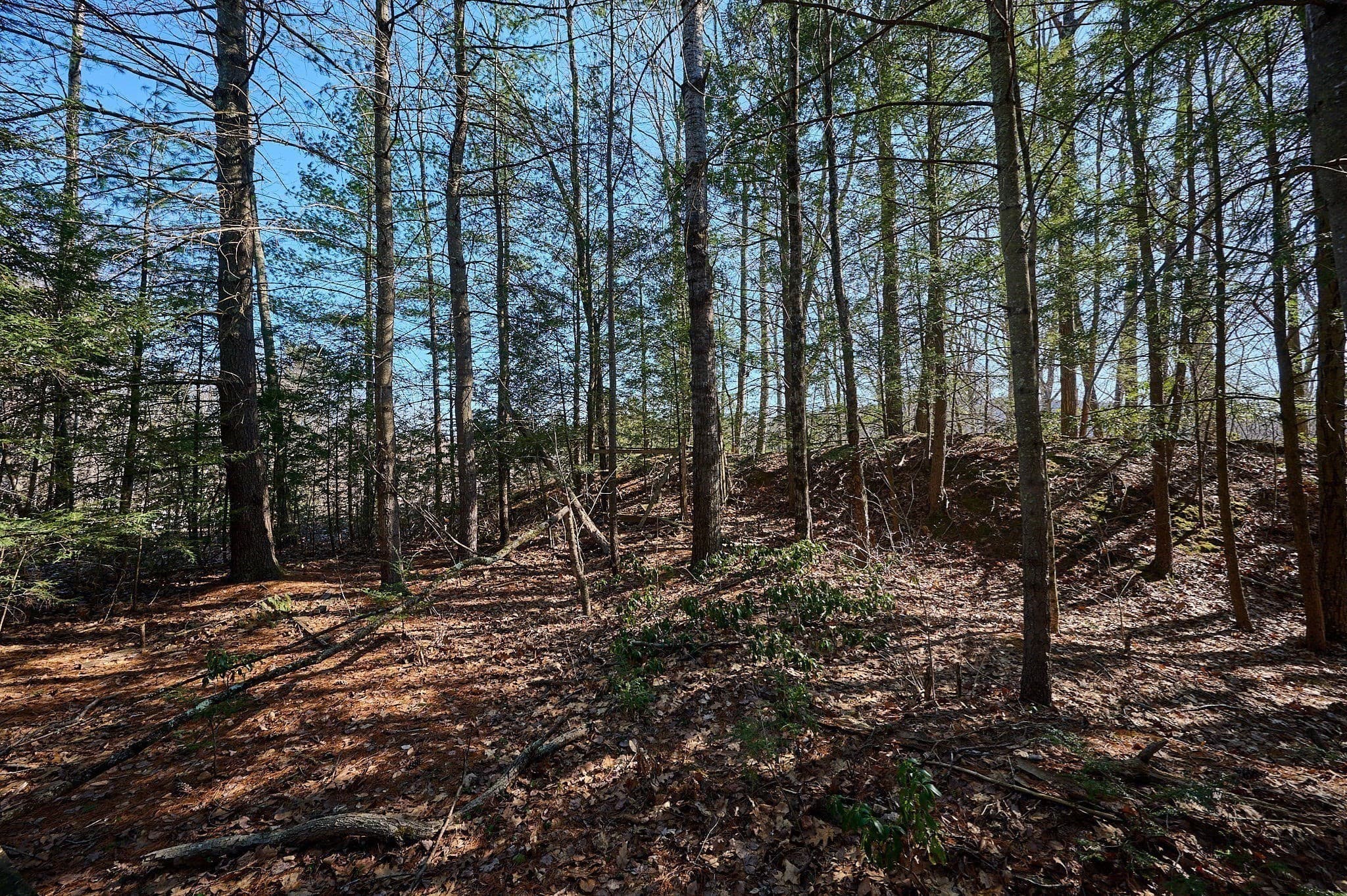 0 Pine Hill