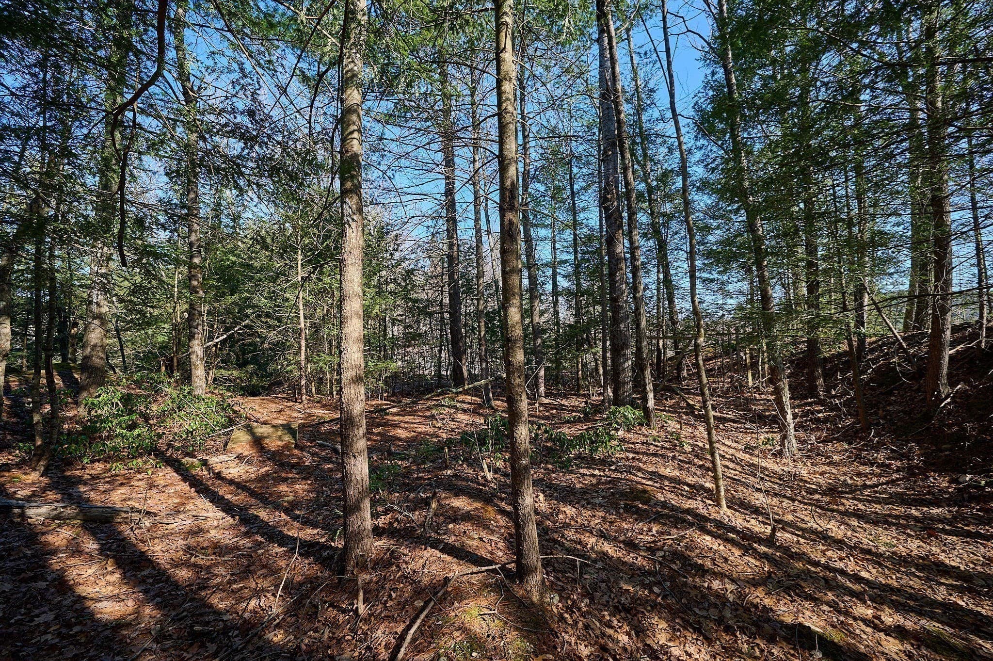 0 Pine Hill photo 5