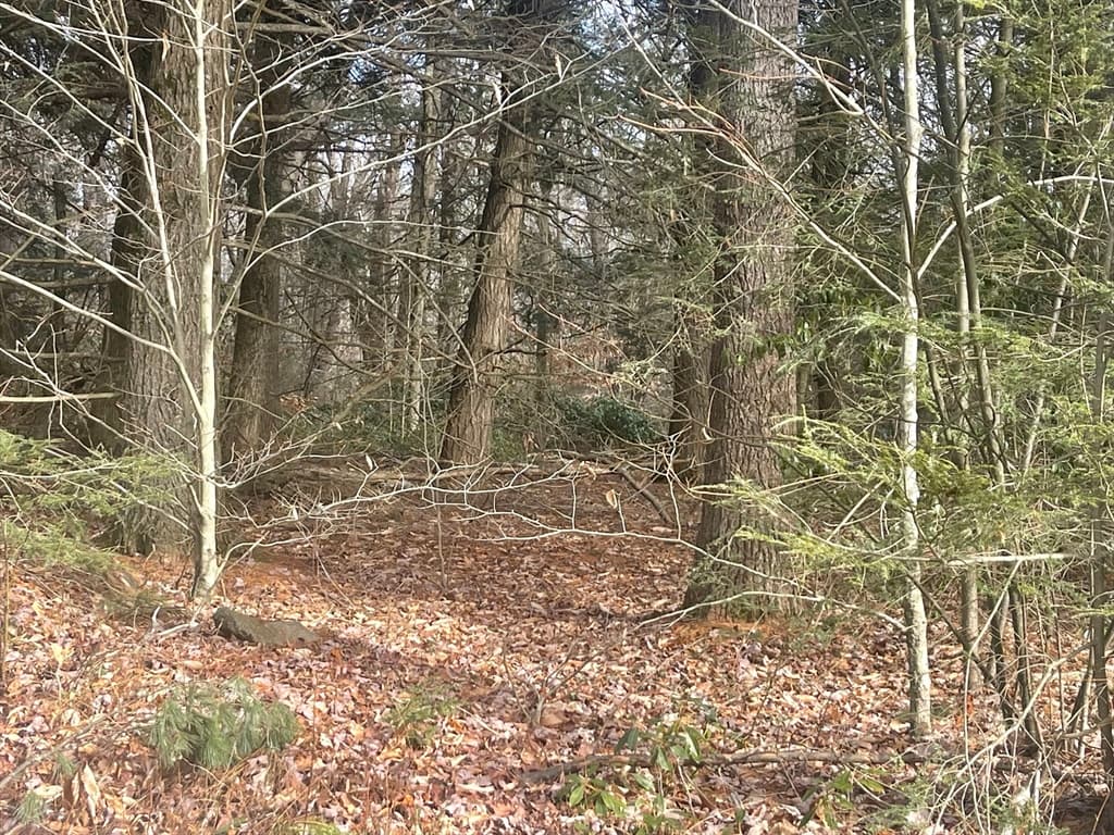 Lot 11 Hartland Road