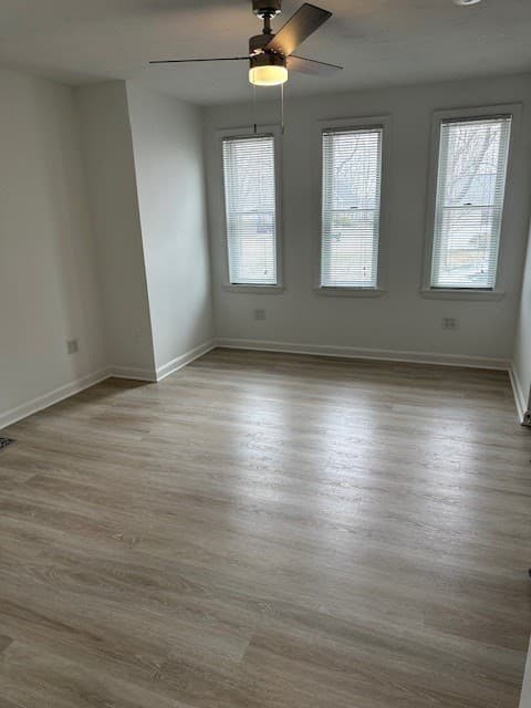 6 Mayhew St #1R photo 4