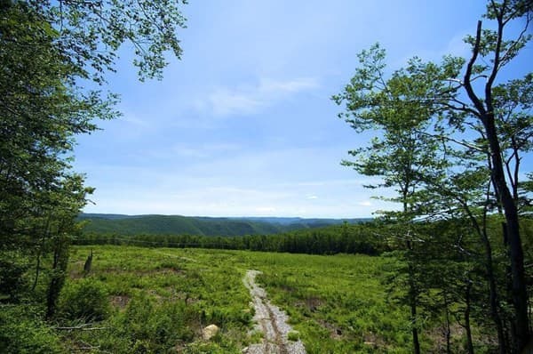 8 Thayer Road photo 2