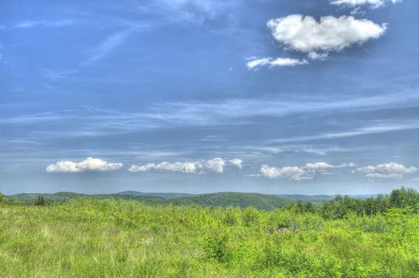 8 Thayer Road photo 3