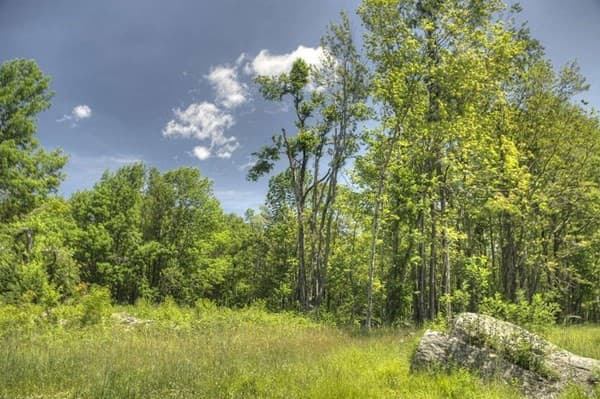 8 Thayer Road photo 5
