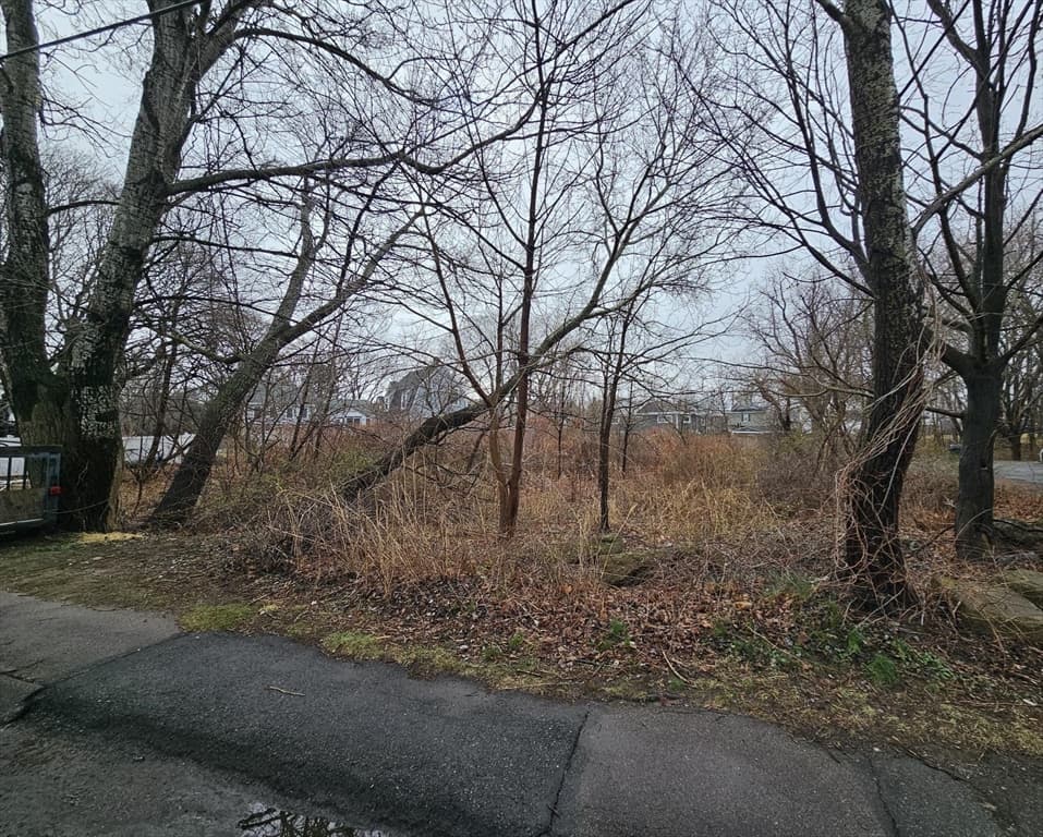 59 Stoughton St photo 2