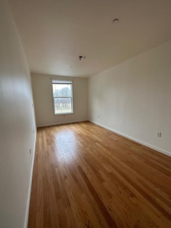 265 Essex St #3A photo 4