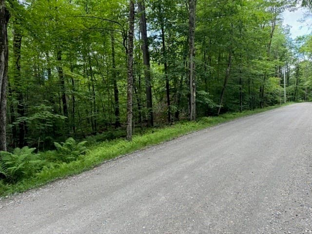 Lot 121 Davis Mine Rd photo 2