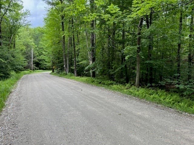 Lot 121 Davis Mine Rd photo 3