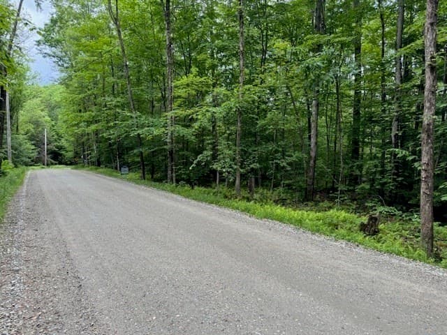 Lot 121 Davis Mine Rd
