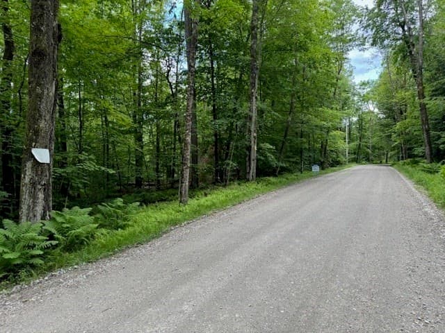 Lot 121 Davis Mine Rd photo 5