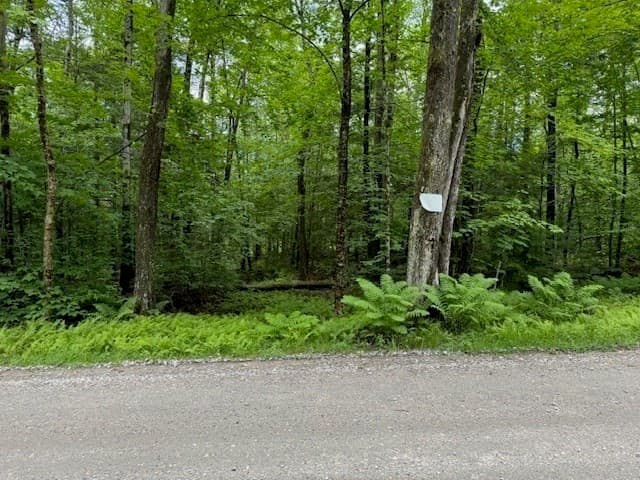 Lot 121 Davis Mine Rd photo 4